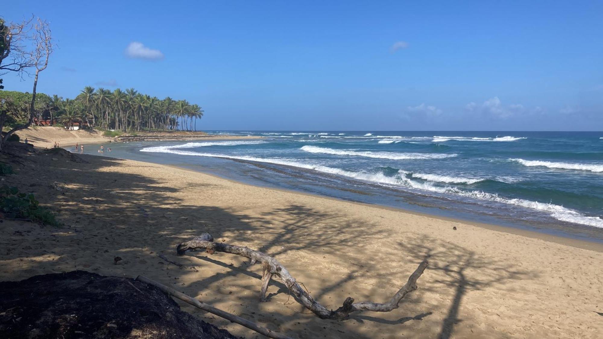 Cita Del Sol City Apartments Cabarete Exteriör bild